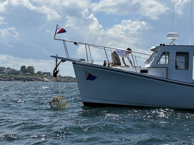 A person standing on a boat

Description automatically generated with medium confidence