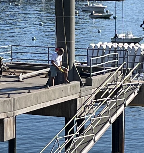A person standing on a dock

Description automatically generated