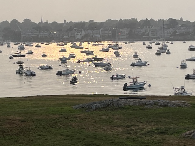 Boats in a body of water with a grassy area and buildings in the backgroundDescription automatically generated