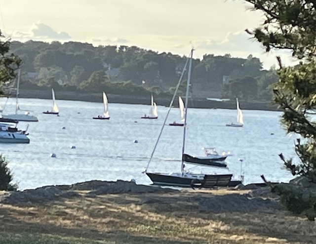 A group of sailboats on a body of waterDescription automatically generated