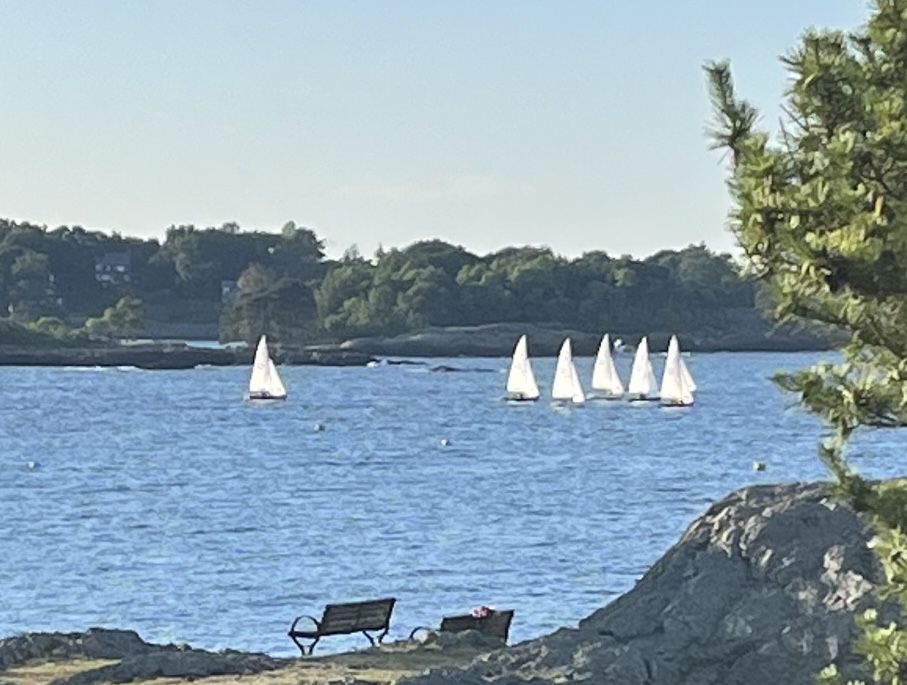 A group of sailboats in the waterDescription automatically generated