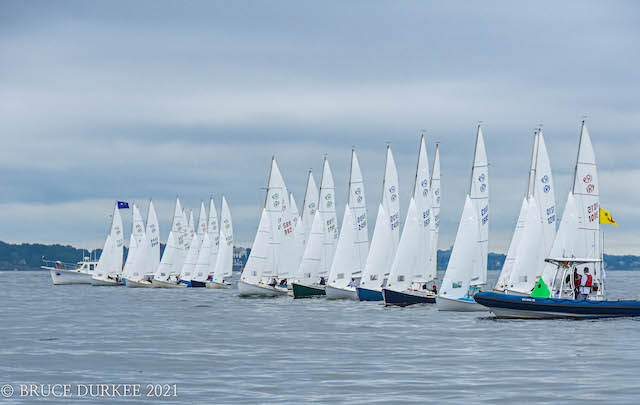 A group of sailboats on waterDescription automatically generated